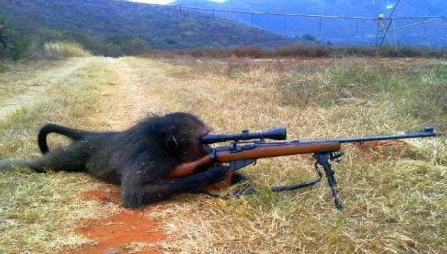 Mαϊμού «Ράμπο» πυροβολεί με Καλάσνικοφ στρατιώτες! (βίντεο)